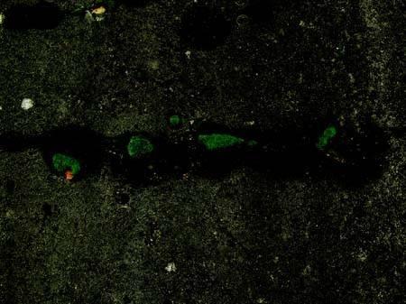 Paolo Mazzanti – Entro l’esterno