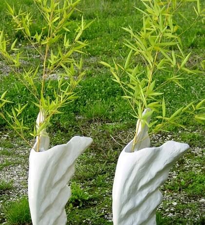 Arte in farmacia – Giovanna De Sanctis