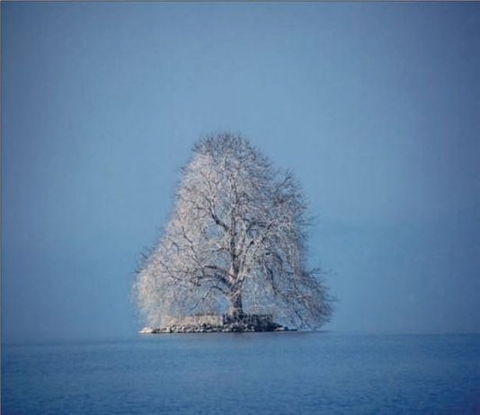 Gianpaolo Cantelmo – La mia Natura Gianpaolo Cantelmo – La mia Natura