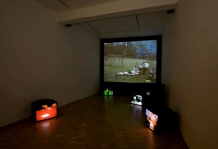 James Yamada – I am now a dolphin