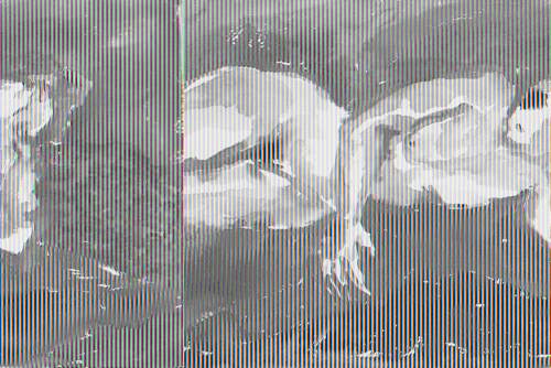 Maria Patrizia Anzolin  – Aquarelle