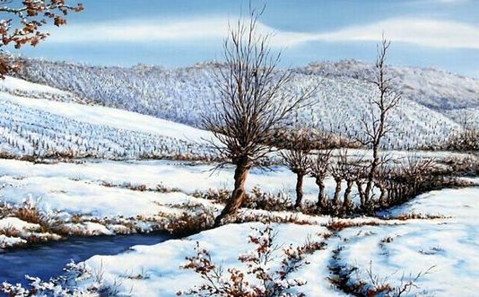 Piero Rasero – Cielo, alberi, acqua Piero Rasero – Cielo, alberi, acqua