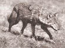 Theresa Lükenwerk – Drawings