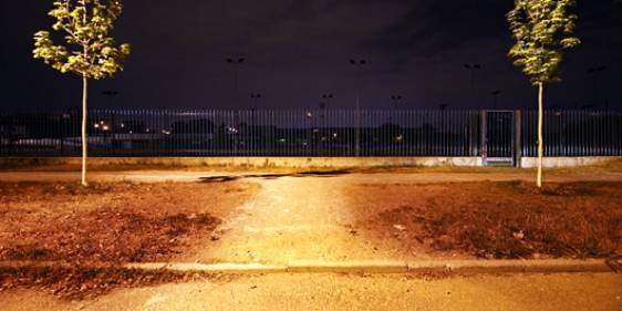 Andrea Grimoldi – Naturalmente artificialehttps://www.exibart.com/repository/media/eventi/2006/03/andrea-grimoldi-8211-naturalmente-artificiale.jpg