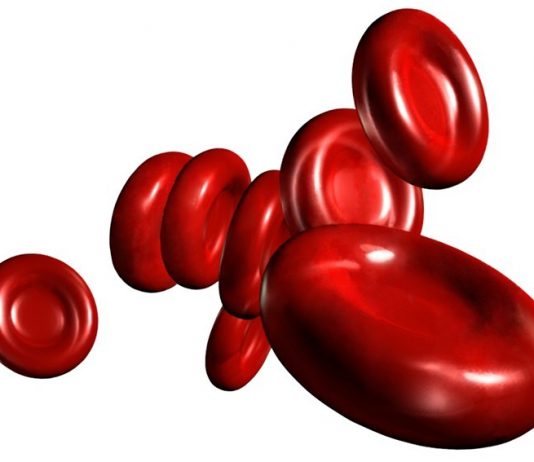 Eterno Presente Primordiale Eterno Presente Primordiale