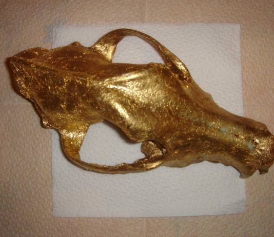 Fabrizio Ajello – Et in Arcadia Ego: necropoli di sale