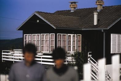 Whalesland Whalesland