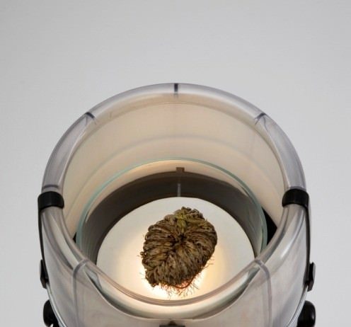 Filippo Leonardi – Senza ragione