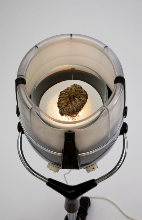 Filippo Leonardi – Senza ragionehttps://www.exibart.com/repository/media/eventi/2006/04/filippo-leonardi-8211-senza-ragione.jpg