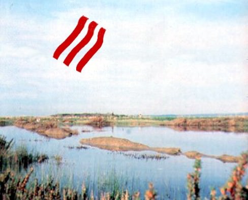 La materia si fa arte