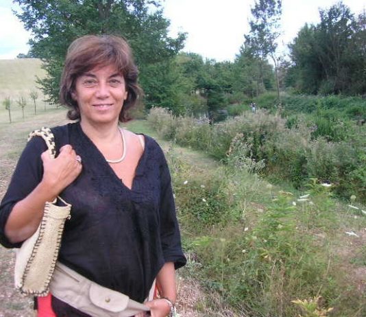 Maria Pia Daidone – Mix con sagome