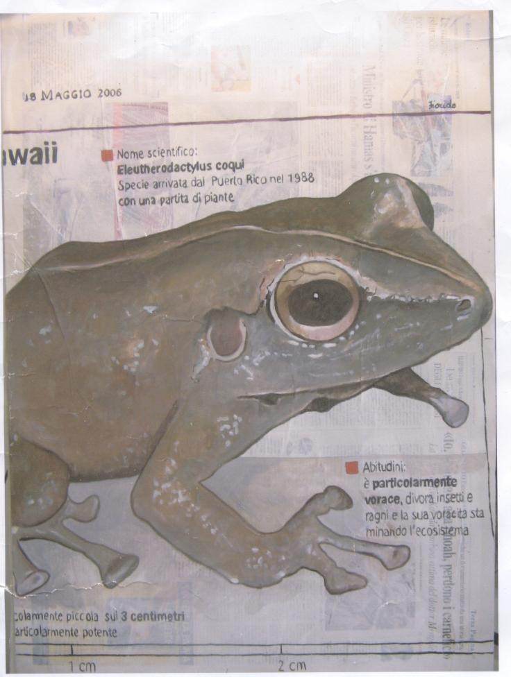 Paola Fiorido – Le news di Paolahttps://www.exibart.com/repository/media/eventi/2006/06/paola-fiorido-8211-le-news-di-paola.jpg