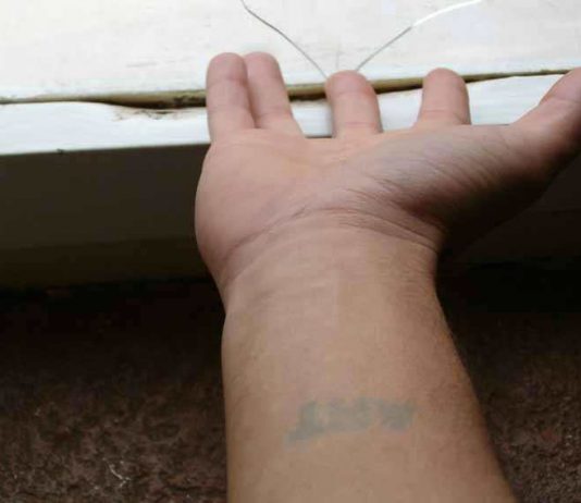 Artedove 2006 Artedove 2006