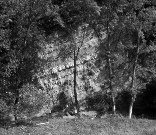 Dacia Manto – Falesie