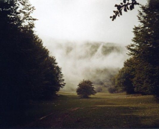 Claudio Testaverde – La memoria dell’acqua