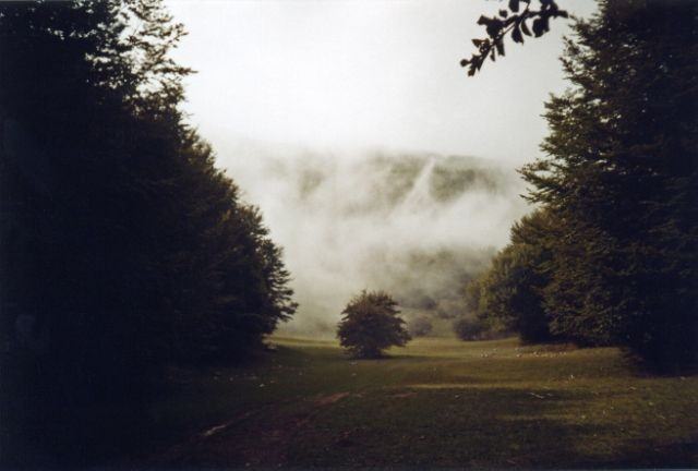 Claudio Testaverde – La memoria dell’acquahttps://www.exibart.com/repository/media/eventi/2006/08/claudio-testaverde-8211-la-memoria-dell’acqua.jpg