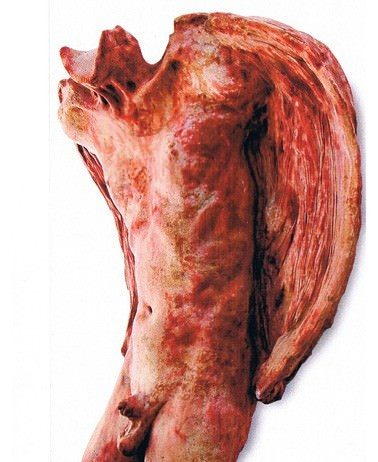 Sasha Vinci – Trasfigurazioni