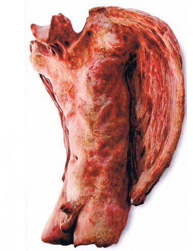 Sasha Vinci – Trasfigurazionihttps://www.exibart.com/repository/media/eventi/2006/08/sasha-vinci-8211-trasfigurazioni.jpg