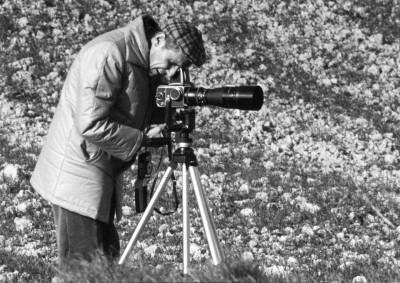 Vittorio Pigazzini – In Foresta