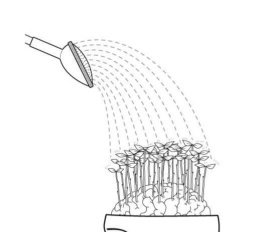 Jinseok Park – User’s Manual