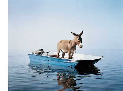 Paola Pivi – My Religion is Kindness. Thank You, See You In The Future