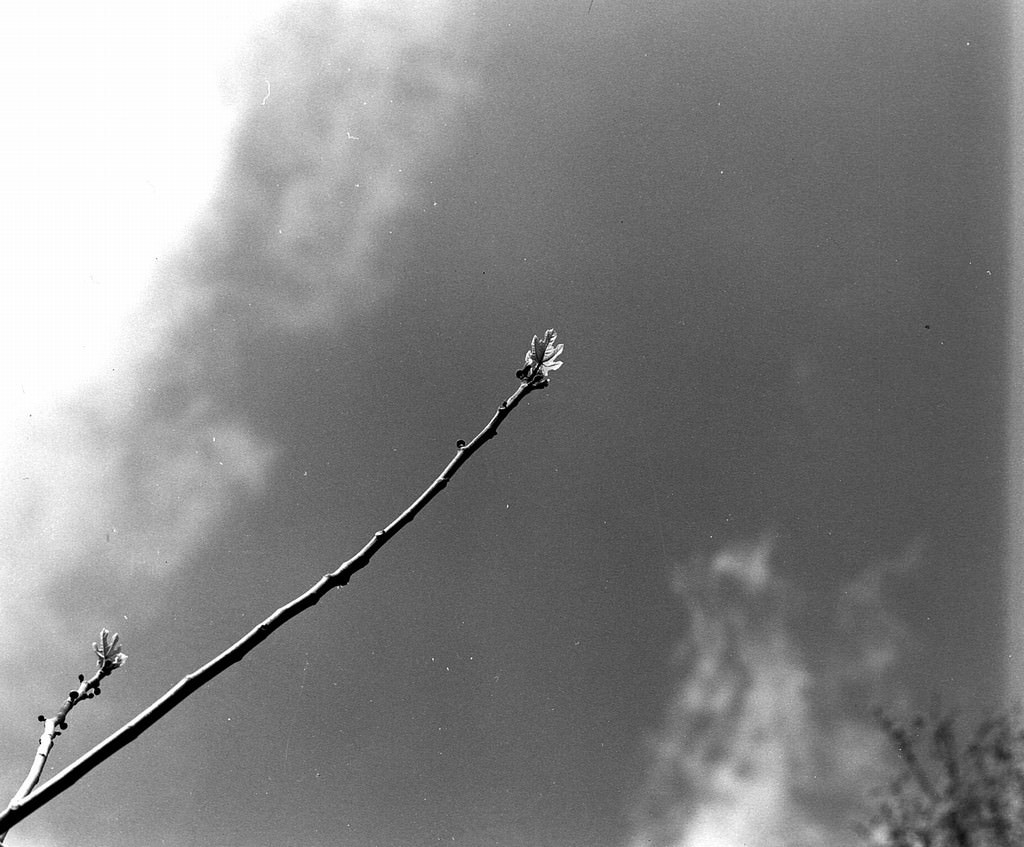 Vinicio Ferri – Vita e lucehttps://www.exibart.com/repository/media/eventi/2006/09/vinicio-ferri-8211-vita-e-luce.jpg