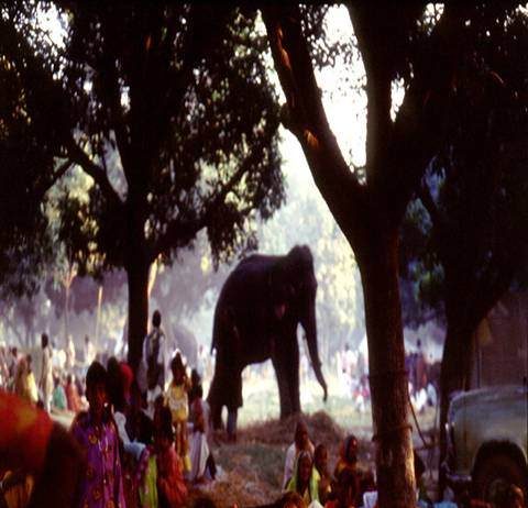 Attilio Concari – Il mela di Sonepur. Pagine perse di una civiltà Attilio Concari – Il mela di Sonepur. Pagine perse di una civiltà