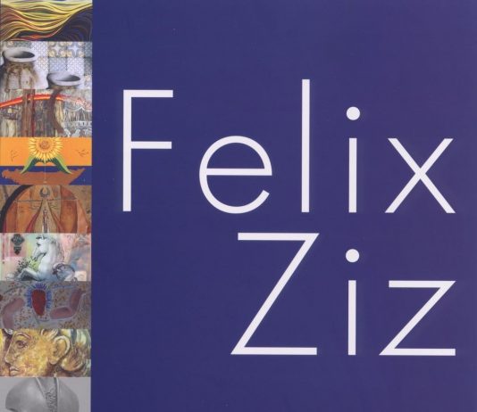 Felix Ziz