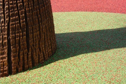 Rafa Bartual – Imagenes Rafa Bartual – Imagenes