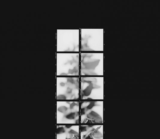 Roberto Angelotti – L’acqua troppo pura non ha pesci