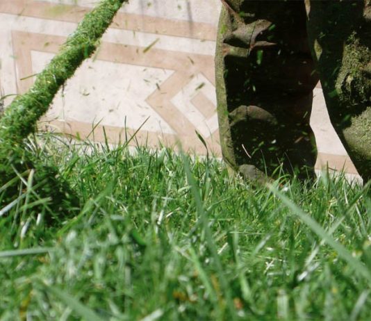 TusciaElecta – Michele Dantini