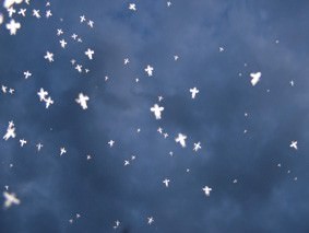 Accademia Carrara. Mostra di fine anno