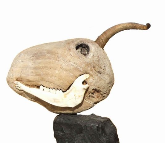 Alessandro Ortona – Immare