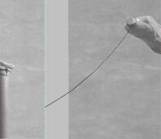 Michele Quercia – Who can it