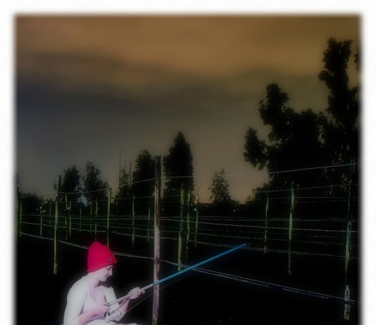 Stefania Romano – chi prima non pensa…