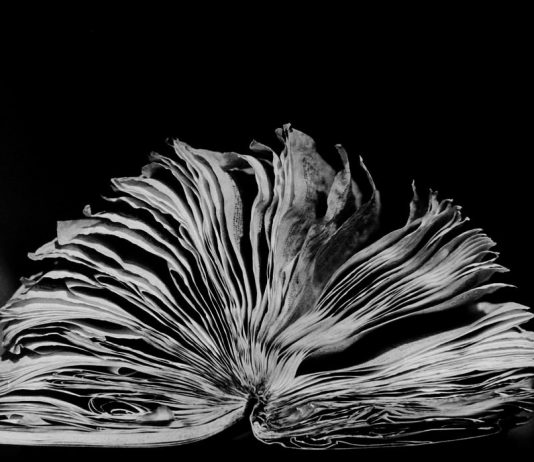 Fulvio Magurno – Librarium Fulvio Magurno – Librarium