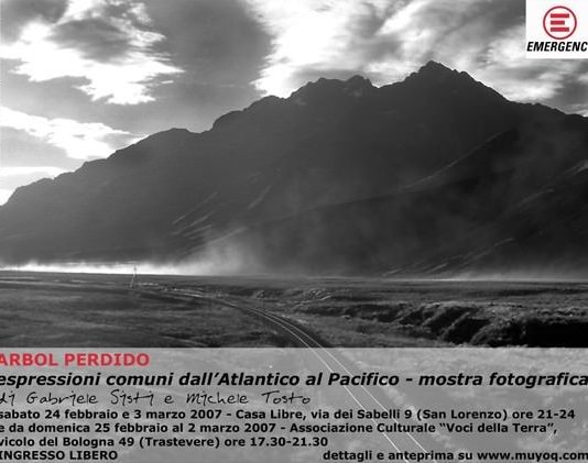 Gabriele Sisti / Michele Tosto – Arbol perdido