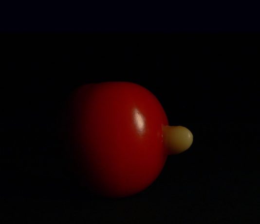 Marti Guixé – 10 years of Food Design