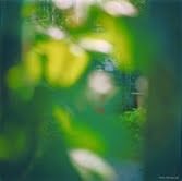 Olimpia Lalli – Giardini