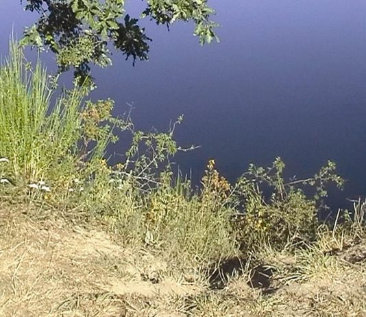 Videoparty – Alek O.