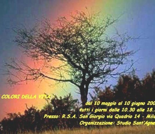 I Colori della Vita