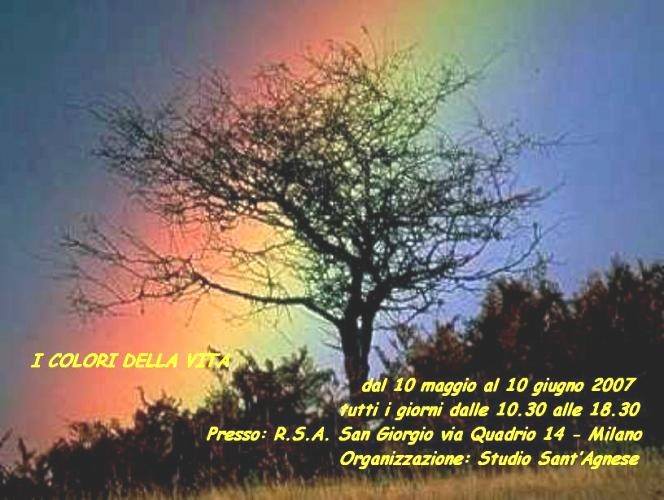 I Colori della Vitahttps://www.exibart.com/repository/media/eventi/2007/03/i-colori-della-vita.jpg