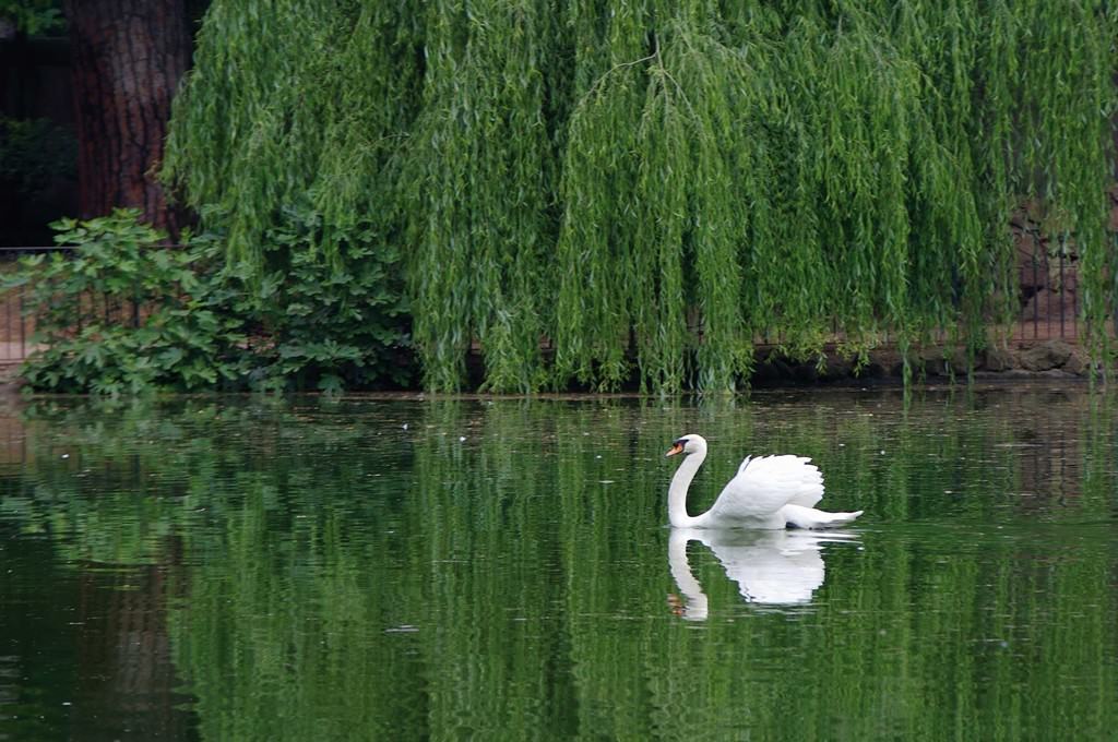 Vito Giaccari – Nelle mie favole…https://www.exibart.com/repository/media/eventi/2007/03/vito-giaccari-8211-nelle-mie-favole8230.jpg