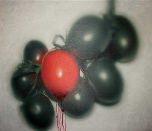 Alessandro Sansoni – Osmosi