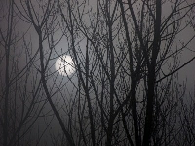 Fulvio Bernacchioni – Frammenti di Toscana