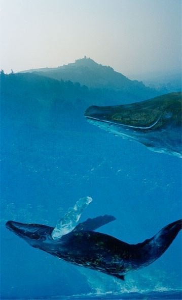 Le colline del Marehttps://www.exibart.com/repository/media/eventi/2007/05/le-colline-del-mare.jpg