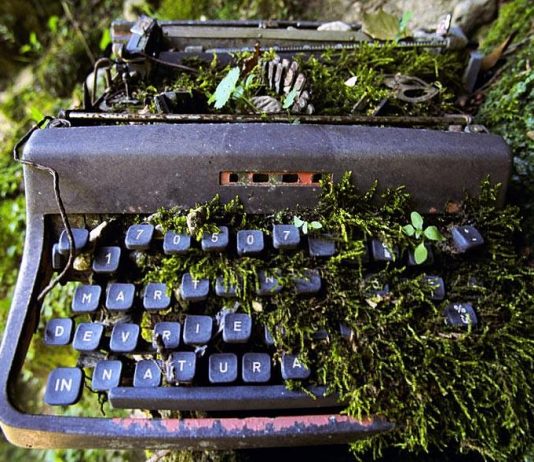 Martin Devrient – InNatura