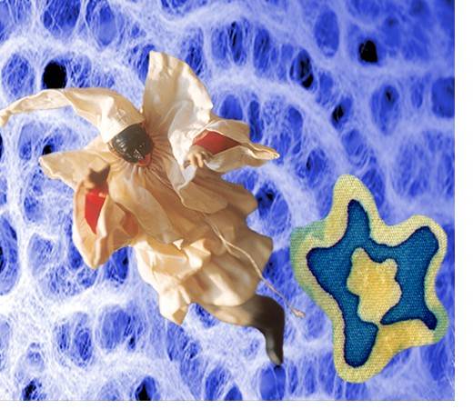 Vincenzo Montella – Pulcinella nel mito