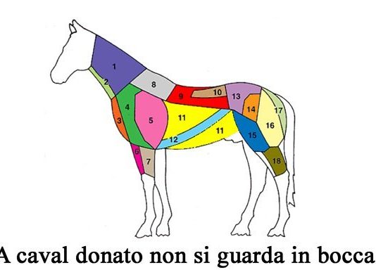 A caval donato non si guarda in bocca A caval donato non si guarda in bocca