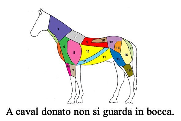 A caval donato non si guarda in boccahttps://www.exibart.com/repository/media/eventi/2007/06/a-caval-donato-non-si-guarda-in-bocca.jpg